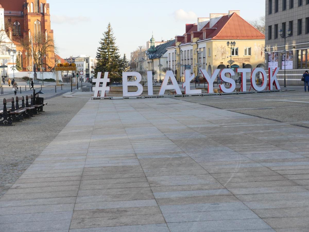 Art Vinyl Loft Apartment Bialystok Ngoại thất bức ảnh